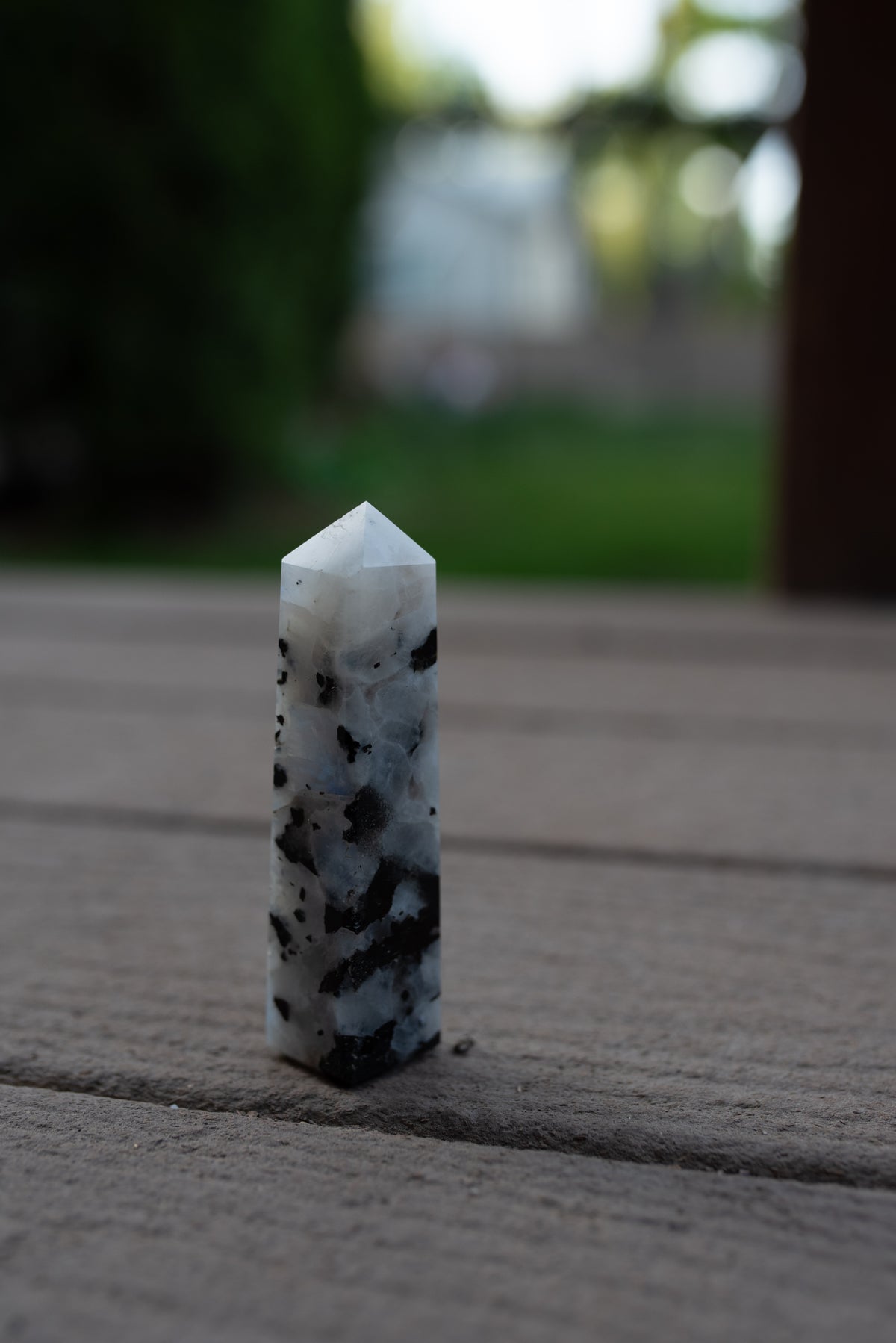 4 Point Rainbow Moonstone
