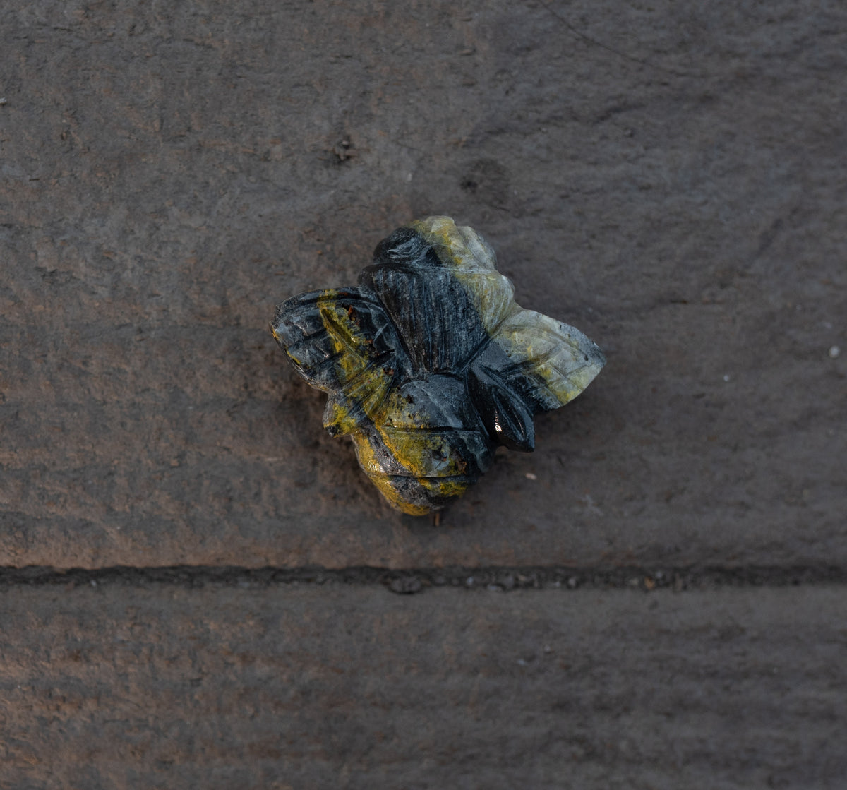 Bumble Bee Jasper Bee
