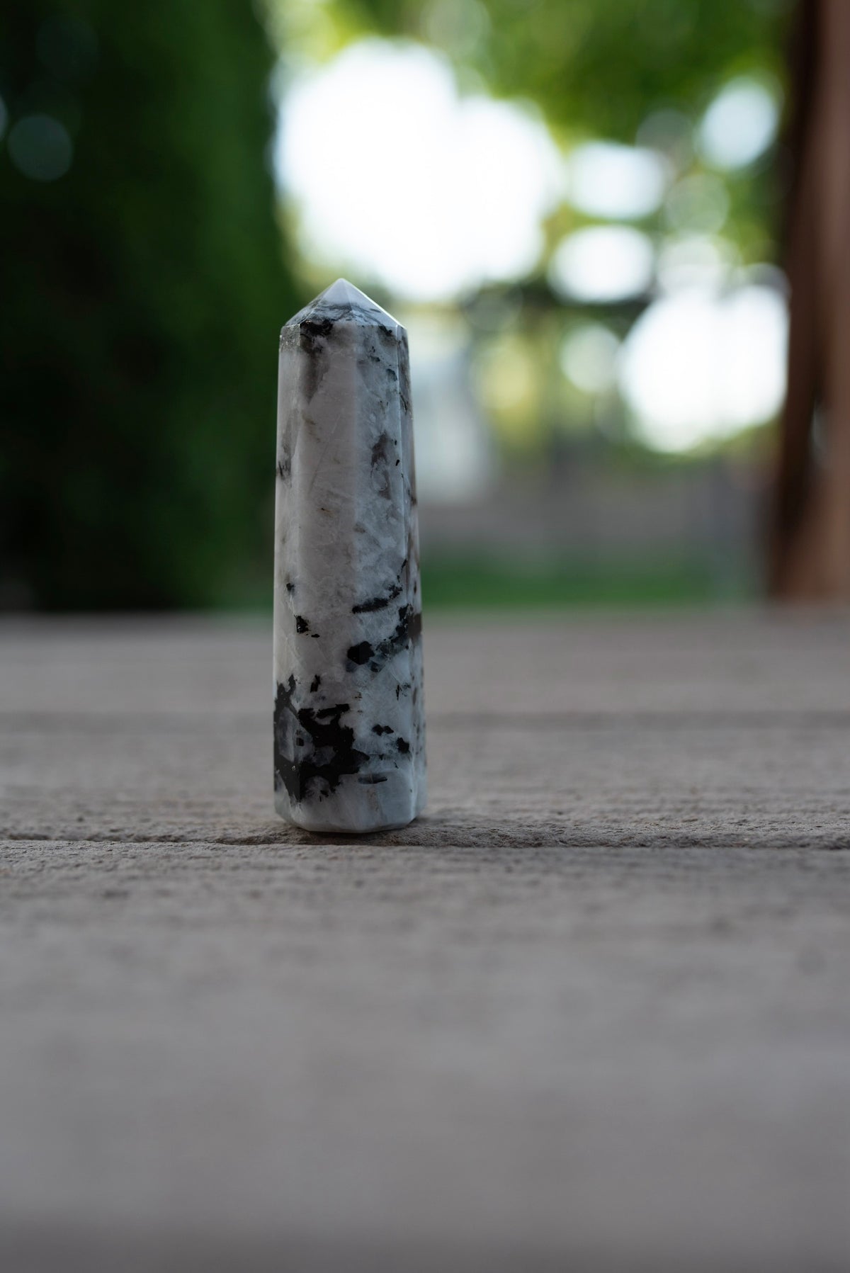 8 Point Rainbow Moonstone