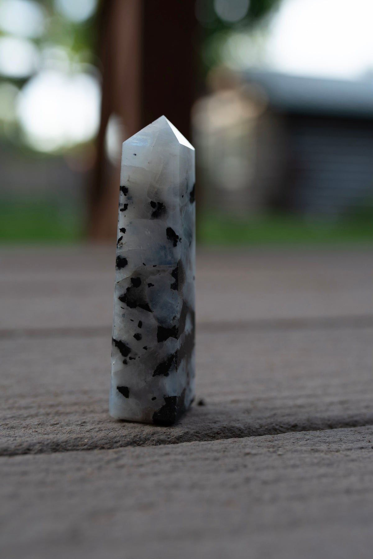 4 Point Rainbow Moonstone