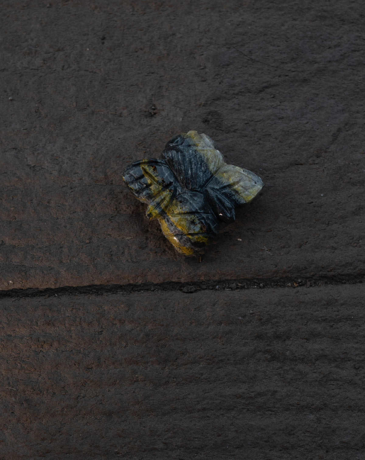Bumble Bee Jasper Bee
